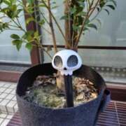 ヒメ日記 2025/12/15 15:12 投稿 ともみ 大塚 虹いろ回春