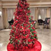 ヒメ日記 2025/12/22 11:39 投稿 ともみ 大塚 虹いろ回春