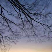 ヒメ日記 2026/01/17 17:18 投稿 ともみ 大塚 虹いろ回春