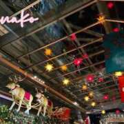 ヒメ日記 2024/12/20 07:00 投稿 ななこ ピーチガール