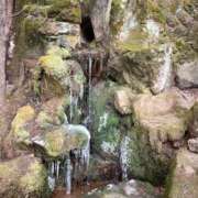 ヒメ日記 2025/01/07 19:12 投稿 ななこ ピーチガール