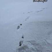 ヒメ日記 2025/03/05 20:17 投稿 ななこ ピーチガール