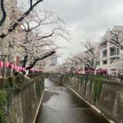 ヒメ日記 2025/03/07 12:22 投稿 ななこ ピーチガール