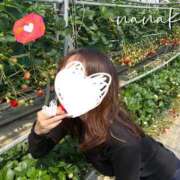 ヒメ日記 2025/03/09 11:15 投稿 ななこ ピーチガール