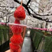 ヒメ日記 2025/04/02 09:52 投稿 ななこ ピーチガール