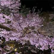 ヒメ日記 2025/04/07 17:15 投稿 ななこ ピーチガール