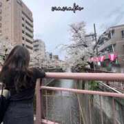 ヒメ日記 2025/04/15 11:34 投稿 ななこ ピーチガール