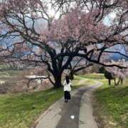 ヒメ日記 2025/04/15 21:49 投稿 ななこ ピーチガール