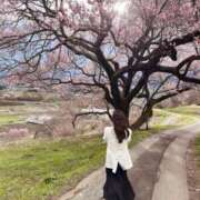ヒメ日記 2025/04/16 22:30 投稿 ななこ ピーチガール