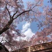 ヒメ日記 2025/04/22 11:00 投稿 ななこ ピーチガール