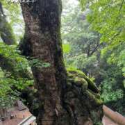 ヒメ日記 2025/06/01 16:44 投稿 ななこ ピーチガール