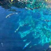 ヒメ日記 2025/06/06 19:45 投稿 ななこ ピーチガール