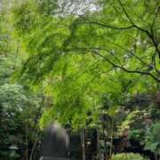 ヒメ日記 2025/07/11 07:47 投稿 ななこ ピーチガール