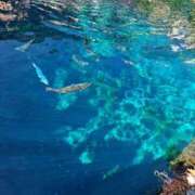 ヒメ日記 2025/07/15 07:35 投稿 ななこ ピーチガール