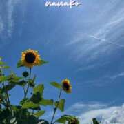 ヒメ日記 2025/07/28 10:03 投稿 ななこ ピーチガール