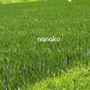 ヒメ日記 2025/07/31 08:12 投稿 ななこ ピーチガール