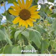 ヒメ日記 2025/08/01 23:43 投稿 ななこ ピーチガール