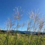 ヒメ日記 2025/09/06 11:08 投稿 ななこ ピーチガール