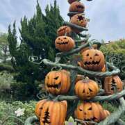 ヒメ日記 2025/09/29 12:58 投稿 ななこ ピーチガール