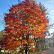 ヒメ日記 2025/10/08 12:58 投稿 ななこ ピーチガール