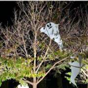 ヒメ日記 2025/10/21 12:03 投稿 ななこ ピーチガール