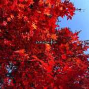 ヒメ日記 2025/10/28 13:47 投稿 ななこ ピーチガール