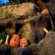 ヒメ日記 2025/10/31 10:27 投稿 ななこ ピーチガール