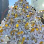 ヒメ日記 2025/12/20 12:49 投稿 ななこ ピーチガール