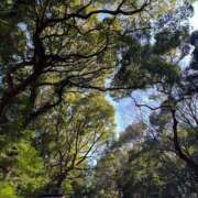 ヒメ日記 2026/03/19 10:37 投稿 ななこ ピーチガール