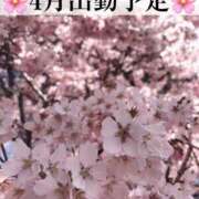 ヒメ日記 2026/03/28 19:11 投稿 ななこ ピーチガール