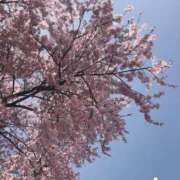 ヒメ日記 2026/03/30 22:01 投稿 ななこ ピーチガール