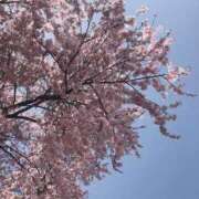 ヒメ日記 2026/03/30 22:16 投稿 ななこ ピーチガール