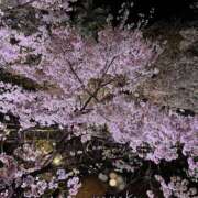 ヒメ日記 2026/04/02 18:39 投稿 ななこ ピーチガール