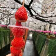 ヒメ日記 2026/04/04 17:45 投稿 ななこ ピーチガール