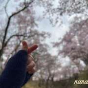 ヒメ日記 2026/04/12 16:27 投稿 ななこ ピーチガール