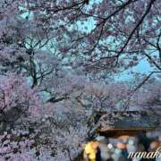 ヒメ日記 2026/04/13 19:30 投稿 ななこ ピーチガール