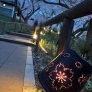 ヒメ日記 2026/04/13 20:45 投稿 ななこ ピーチガール