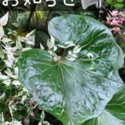 ヒメ日記 2026/05/29 09:58 投稿 ななこ ピーチガール