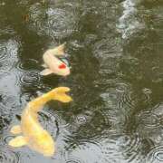 ヒメ日記 2026/07/28 17:43 投稿 ななこ ピーチガール