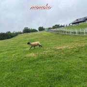 ヒメ日記 2026/08/04 08:28 投稿 ななこ ピーチガール