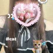 ヒメ日記 2025/02/22 17:11 投稿 ちあき 大阪ぽっちゃりマニア 谷九店