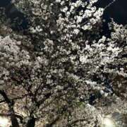 ヒメ日記 2025/04/08 17:45 投稿 ちあき 大阪ぽっちゃりマニア 谷九店