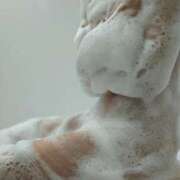 ヒメ日記 2025/05/03 08:26 投稿 あきら 奥様鉄道69 仙台店