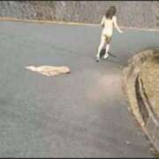 ヒメ日記 2025/04/06 09:37 投稿 あずさ 奥様鉄道69 仙台店