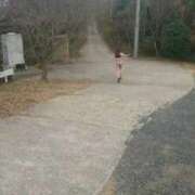 ヒメ日記 2025/07/27 07:46 投稿 あずさ 奥様鉄道69 仙台店