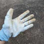 ヒメ日記 2025/08/22 05:56 投稿 あずさ 奥様鉄道69 仙台店