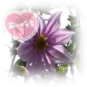 ヒメ日記 2024/12/24 08:14 投稿 あやね 奥様鉄道69 仙台店