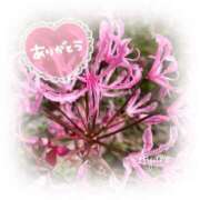 ヒメ日記 2024/12/24 19:26 投稿 あやね 奥様鉄道69 仙台店