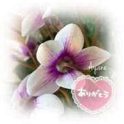 ヒメ日記 2025/02/15 16:46 投稿 あやね 奥様鉄道69 仙台店