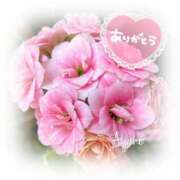 ヒメ日記 2025/03/05 17:50 投稿 あやね 奥様鉄道69 仙台店